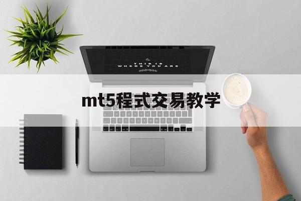 mt5程式交易教学(mt5成交量怎么设置)