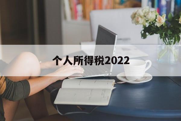 个人所得税2022(个人所得税2022版)